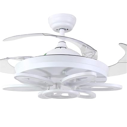 Amazon Com Simple Personality Ceiling Fan Light Acrylic