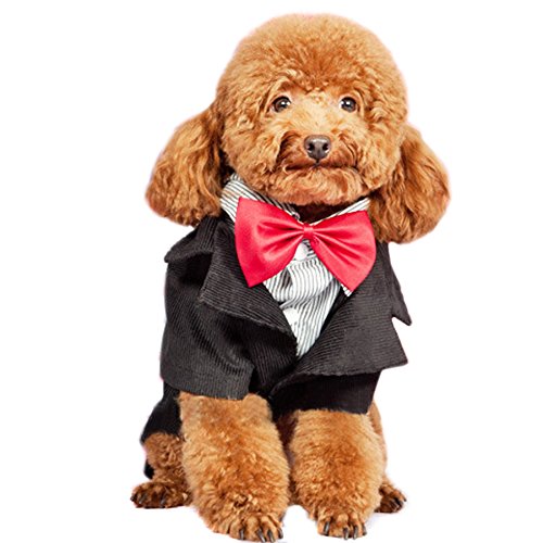 Alfie Pet by Petoga Couture - Tyson Formal Tuxedo with Red Bow Tie