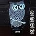 LJOYKID Owl 3D Led Night Light - Optical Illusion 7 Colors Touch Table Desk Visual Lamp with Remote Control Lamp for Gifts Toys for Children Kids