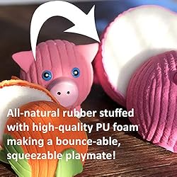 HuggLeHOUNDS Ruff-Tex Squeaky Tough Dog Chew Toy