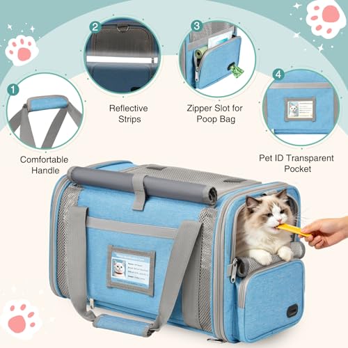 BTNEEU Foldable Cat Carrier Carrier Small Dog Carriers Airline Approved Breathable Carrier Bag with Inner Strap, Washable Soft Cushion and Adjustable Shoulder Strap (Sky Blue)