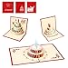 Ohuhu 3-Pack Birthday Cards 3D Pop Up Happy Birthday Greeting Card, 3 Birthday Cake Styles with 3 Envelopes