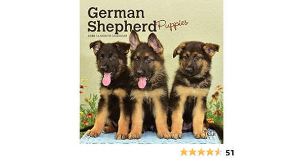 bobs german shepherd shoes