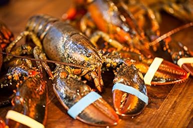Get Maine Lobster - Live Maine Lobster (6 each 1-1.25 LB ): Amazon.com