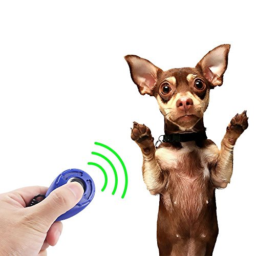 Collapsible Travel Pet Cat Dog Bowl,Silicone Bowl Dog Doorbells Puppy dog Training Clicker Kit,dog training bells for door,2 Pack Pet Training Clicker Scientific Professional Design