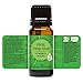 Edens Garden Focus, Focus, Focus Essential Oil Blend- 100% Pure Premium Grade, Undiluted, Natural, Therapeutic, Aromatherapy, The Best for Diffusing, Kid Safe, Humidifiers, Skin 10 ml (.33 fl oz)
