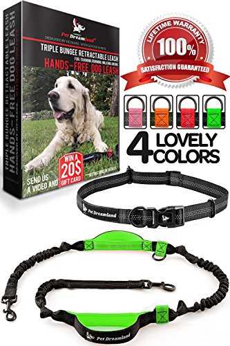 Pet Dreamland Hands Free Dog Running Leash - One/Two Medium to Large Dogs (up to 150lbs) - Adjustable Dog Walking Leash - Running Dog Belt - Waist Retractable Dog Leash (One Dog, Black & Green)