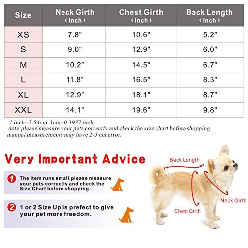 adidog size chart