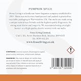 Fosse Living Pumpkin Spice Soy Wax Melts 16 Pack - Plastic Free view 6