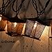 LIDORE 10 Counts Vintage Bronze Iron Nets Lanterns Plug-in String Lights. Great for Indoor/Outdoor Decoration. Best Ambience Decorative Lights. Warm White Glow.