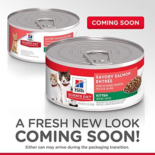 science diet kitten wet food