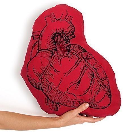 Red heart cushion cover, Love gift. Anatomical heart. Gothic decor.