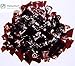 Dewaxed Garnet Shellac Flakes 1 LB. or (16 Ounce)
