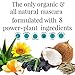 Organic Mascara - All Natural Cruelty Free Vegan Mascara - Volumizing and lengthening Eyelashes With Non Toxic Formula ( Black)