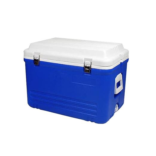 LIYANBWX - Nevera pasiva de 65 litros con asa de Transporte y Tapa ...