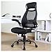 OWLN Ergonomic High Back Mesh Office Chair with Adjustable Armrest Swivel Computer Task Chair