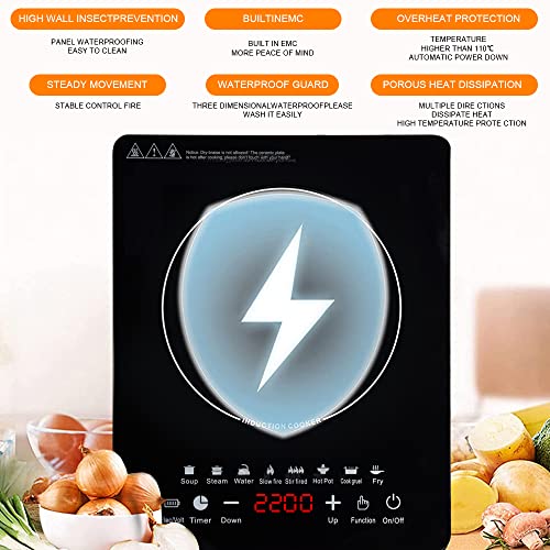 Portable Induction Burner, 2200W Electric Induction Countertop Burner