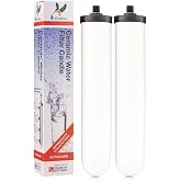 Doulton W9123053 9501 10" UltraCarb NSF Certified BSP Thread Ceramic Filter Candle Element Cartridge - 2 Pack