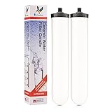 Doulton W9123053 9501 10" UltraCarb NSF Certified
