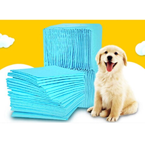 Rurah Pet Training and Puppy Pads Pet Diaper Packing of 5,M - Thumbnail 3