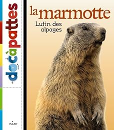 La  marmotte