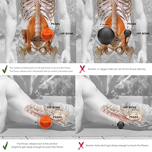 Aletha Orbit Hip Flexor Release Ball Psoas Massage Ball for Pain