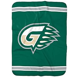 Georgia Gwinnett College Grizzlies Primary Logo