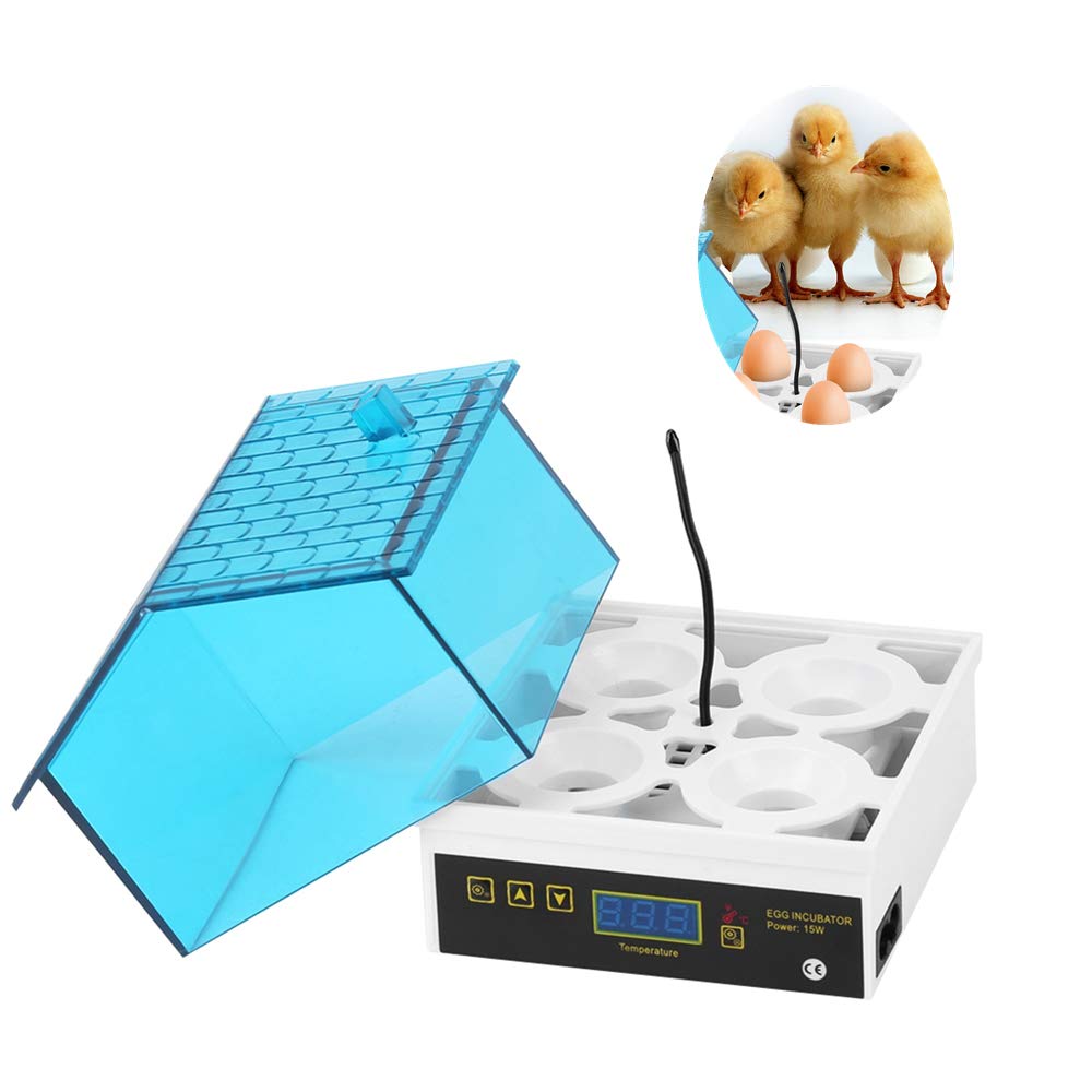 Jadpes Small Intelligent Incubator, 4 Eggs Incubator Temperature Control Digital Chicken Chick Duck Hatcher Chick Hatcher for Chickens Ducks Goose Birds Egg Hatching