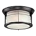 Westinghouse 05937003861 6674600 Senecaville Two-Light Exterior Flush-Mount Fixture, Weathered Bronze Finish on Steel with White Alabaster Glass, 1