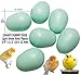 DummyEggsⓇ USA Canary Dummy Eggs Stop Laying 11/16