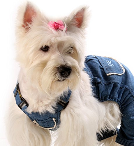 image for YOY 40 Pcs Adorable Grosgrain Ribbon Pet Dog Hair Bows with Elastics T