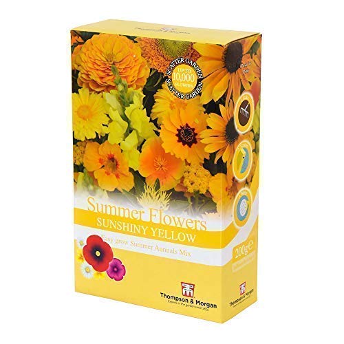 Yellow Summer Flowers Sunshiny Yellow Mix Colour Theme Easy Grow Yellow Summer Annuals Mix Scatter Pack, 1 x 200g Pack by Thompson and Morgan