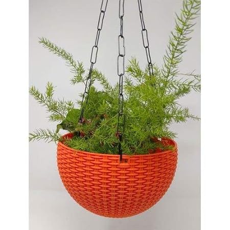 Airex Plastic Hanging pots for Plants and Flowers for Garden Balcony d