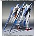 Bandai Hobby Metal Robot Spirit Side MS XN Raiser + Seven Sword Parts Set