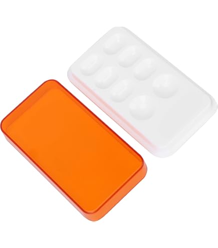 Amazon.com: Angzhili 1 Piece Dental Palette with Cover,8 Slot