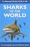 Sharks Of The World Princeton Field Guides Amazon Co Uk