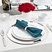 Party Essentials N394564 Divine Plastic Plates with Silver Rim, 7.5