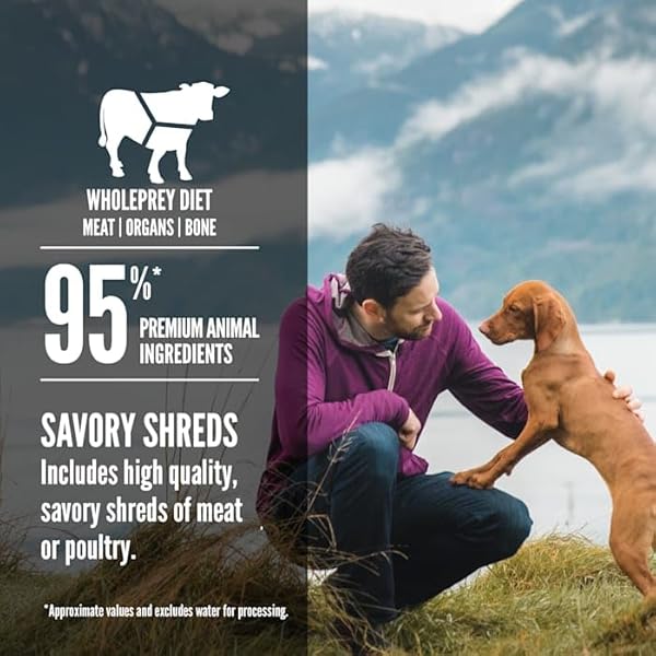 ORIJEN REAL MEAT SHREDS, GRAIN-FREE, TUNDRA STEW, PREMIUM WET DOG FOOD