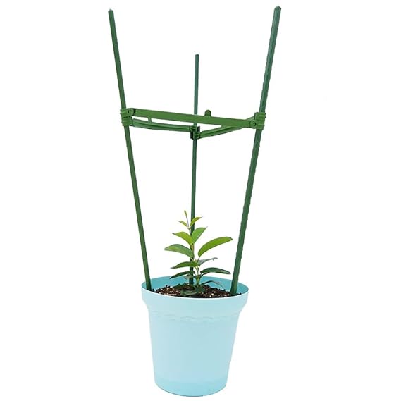STSERI Anillo de Soporte para Plantas, jaulas de Soporte para ...