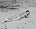 Sandra Bullock 8x10 Photo - No Image is Cropped. No white or black borders, What you see is what you get #MS3546