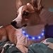 BSEEN Light Up Dog Collars - Reflective LED Dog Collar, Adjustable Puppy Collar, Rechargeable Dog Camping Gear Dog Collar Light for Small Medium Large Dogs (Medium, Blue3)