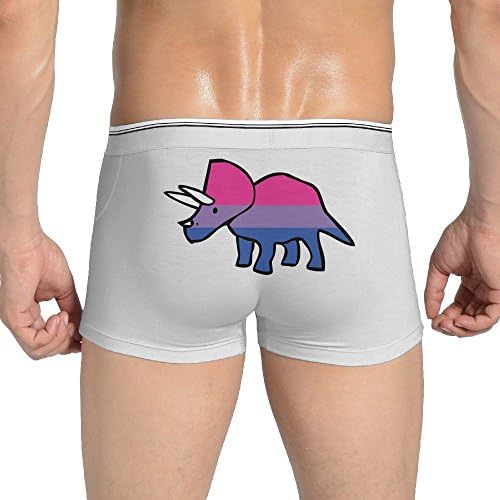 Curry J Yasha Triceratops Men's Custom Underwear Boxer Briefs