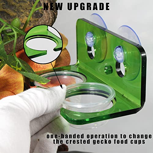 100 Biodegradable Crested Gecko Food Cups - 1oz Reptile Feeding Dishes