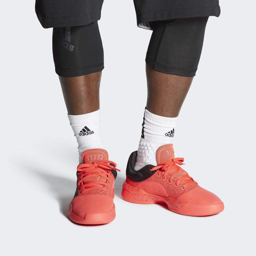 pro adversary low 2019 shoes