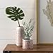 Stone & Beam Modern Ceramic Spotted Decor Planter Pot - 11 Inch, White and Terra Cotta