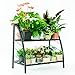 C-Hopetree Indoor or Outdoor Plant Stand, 2 Shelf Pot Rack with Black Metal Frame and Shelves