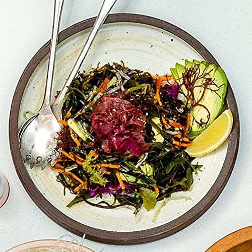 Sea Tangle Organic Green Tea Kelp Noodles (12oz) Pack of 2 Low