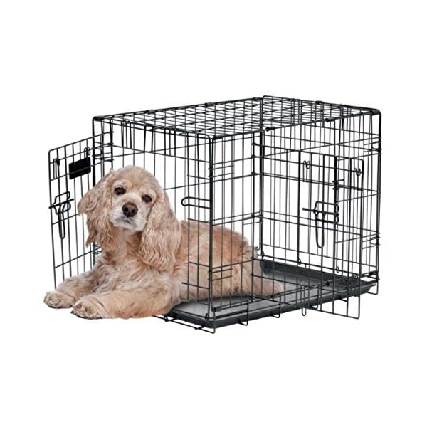 provalu dog crate