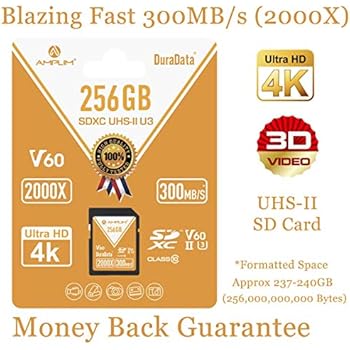 v60 micro sd card 256gb