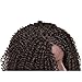 HANNE L Part Lace Front Wig Afro Kinky Curly Wigs Side Part Lace Wig for African American Women (Dark Brown)